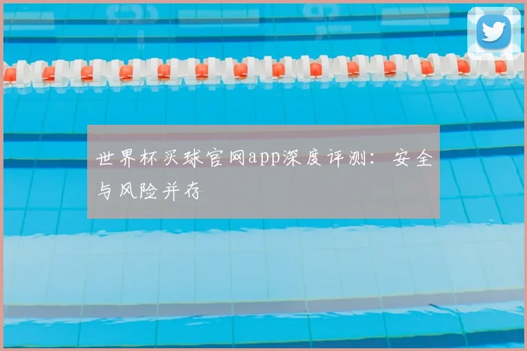 世界杯买球官网app深度评测：安全与风险并存