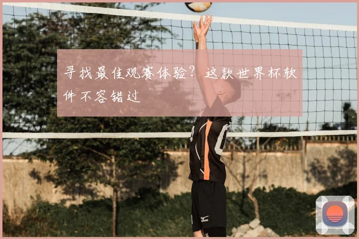 寻找最佳观赛体验？这款世界杯软件不容错过