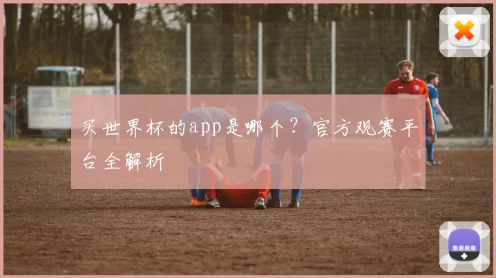 买世界杯的app是哪个?官方观赛平台全解析