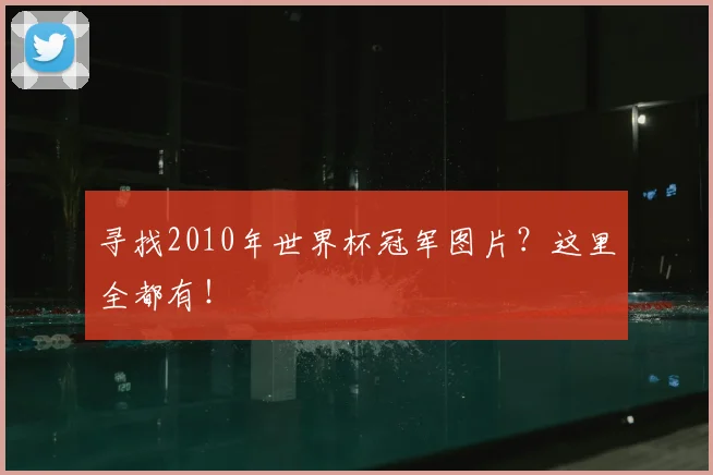 寻找2010年世界杯冠军图片？这里全都有！