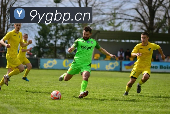 九游官方正版入口APP 封面图